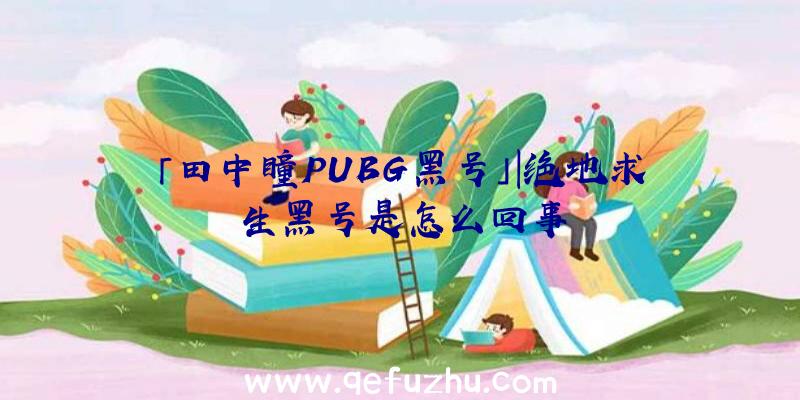 「田中瞳PUBG黑号」|绝地求生黑号是怎么回事